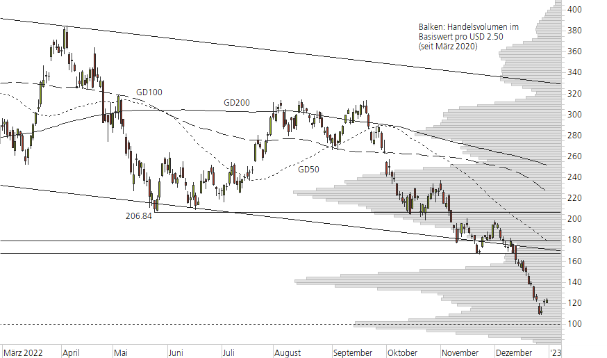 Tesla Inc-10-Monats-Chart