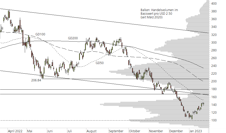 Tesla Inc-10-Monats-Chart