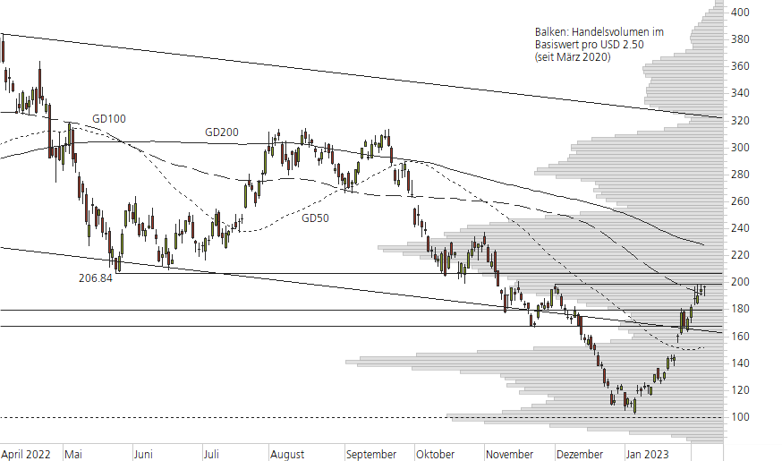 Tesla Inc-10-Monats-Chart