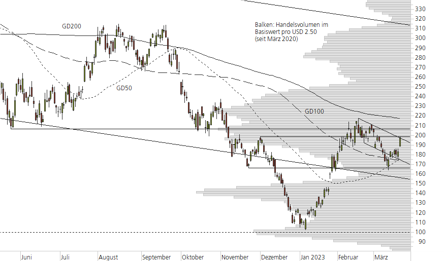 Tesla Inc-10-Monats-Chart