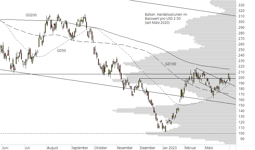 Tesla Inc-10-Monats-Chart