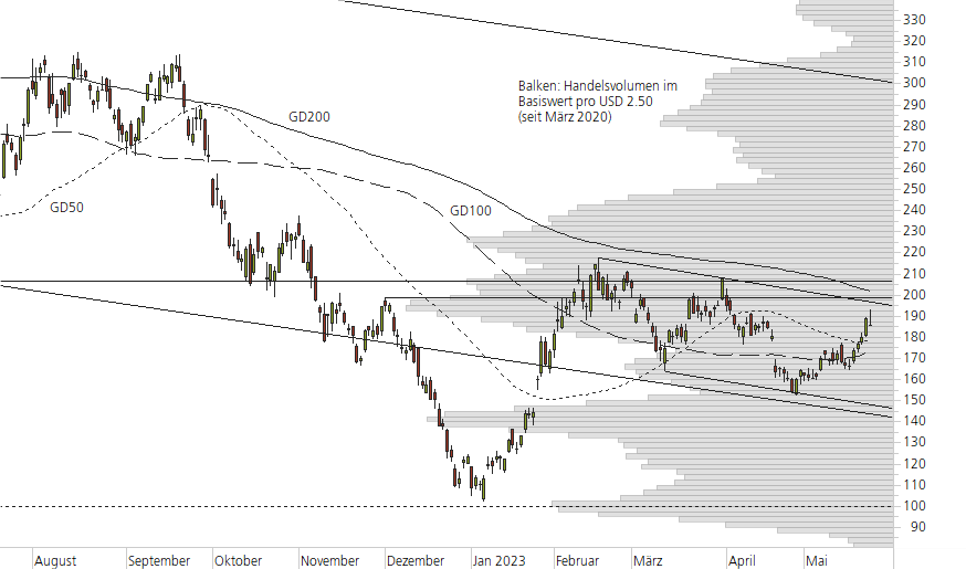 Tesla Inc-10-Monats-Chart