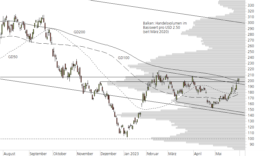 Tesla Inc-10-Monats-Chart