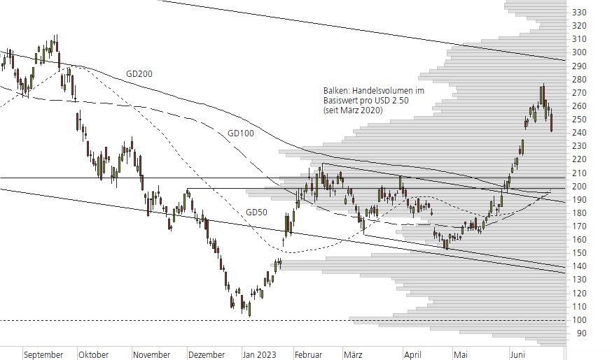 Tesla Inc-10-Monats-Chart