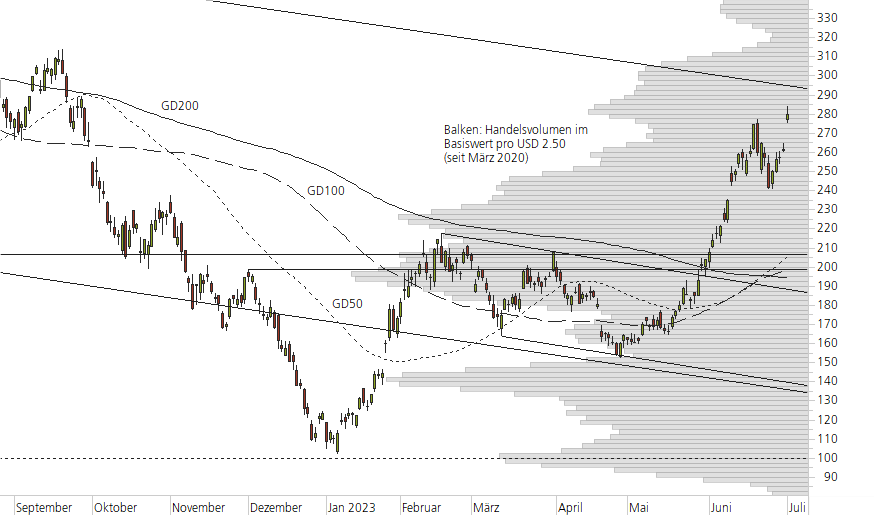 Tesla Inc-10-Monats-Chart