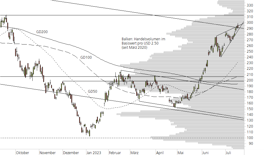 Tesla Inc-10-Monats-Chart