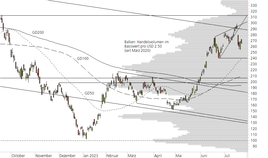 Tesla Inc-10-Monats-Chart