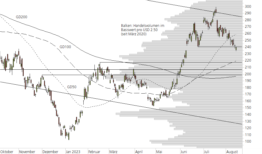 Tesla Inc-10-Monats-Chart