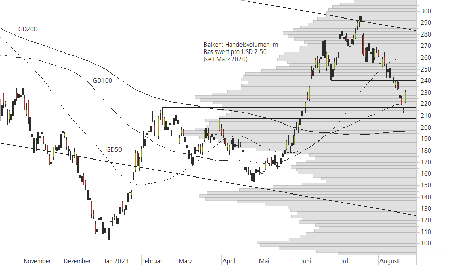Tesla Inc-10-Monats-Chart