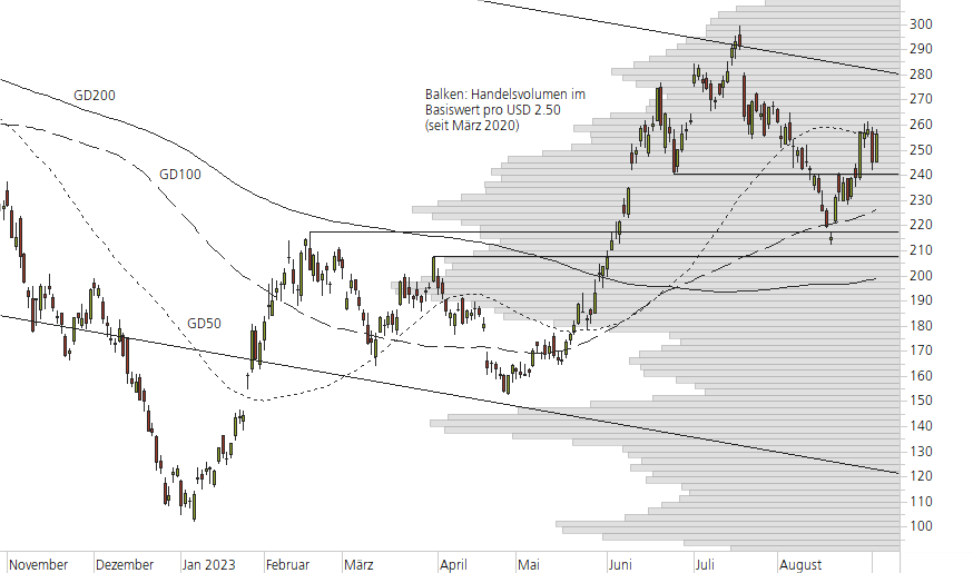 Tesla Inc-10-Monats-Chart
