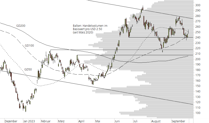 Tesla Inc-10-Monats-Chart