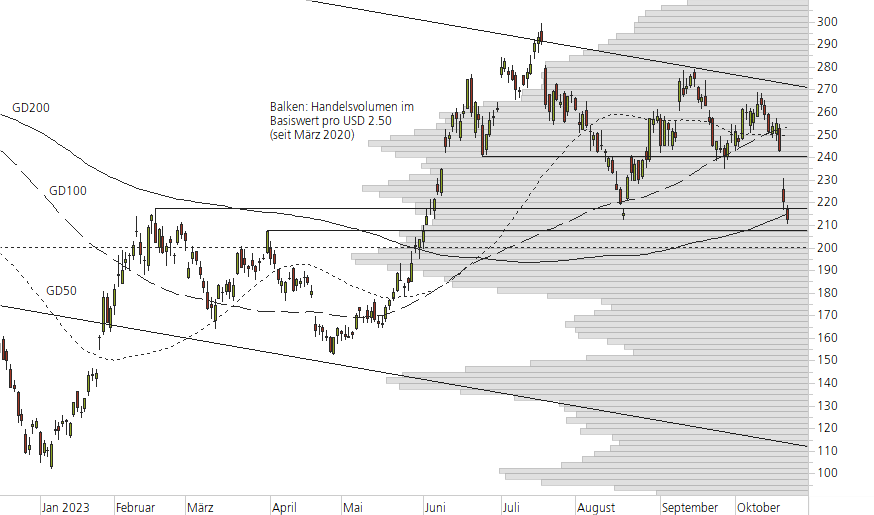 Tesla Inc-10-Monats-Chart