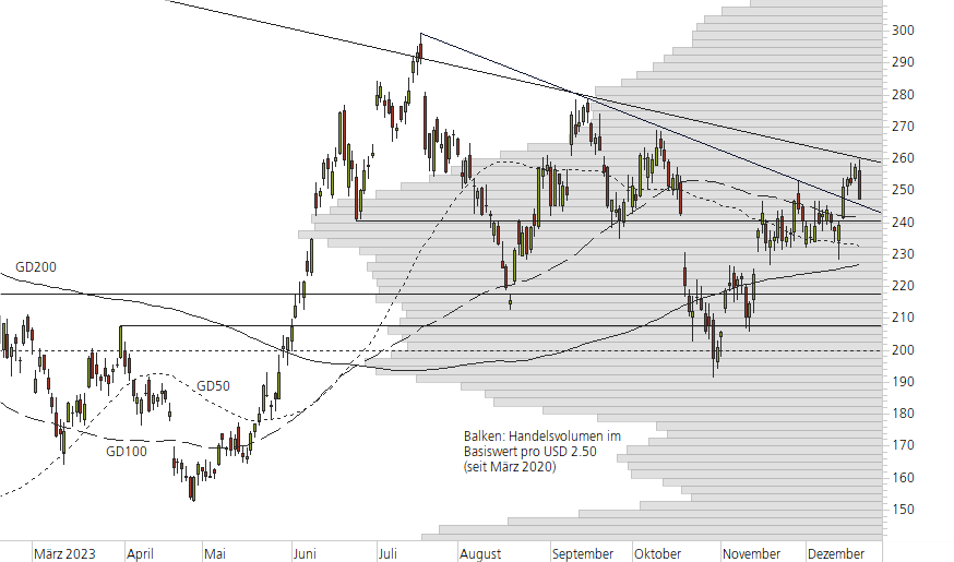 Tesla Inc-10-Monats-Chart