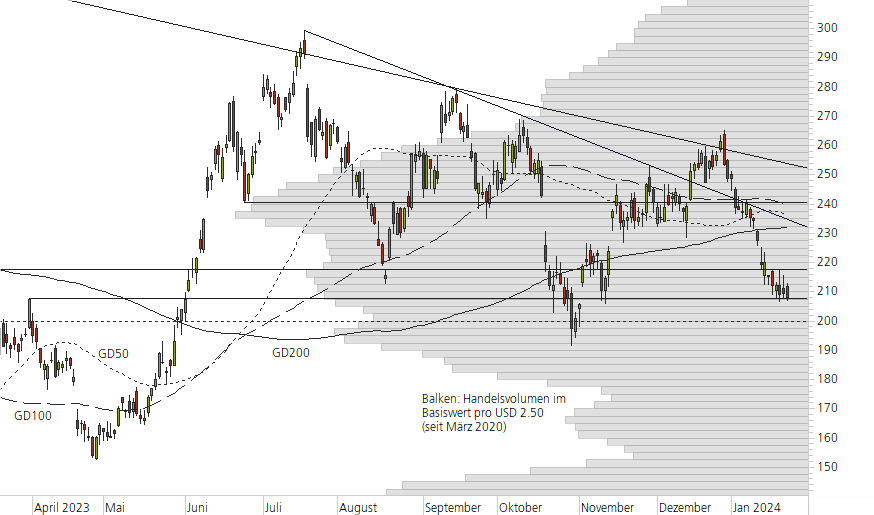 Tesla Inc-10-Monats-Chart