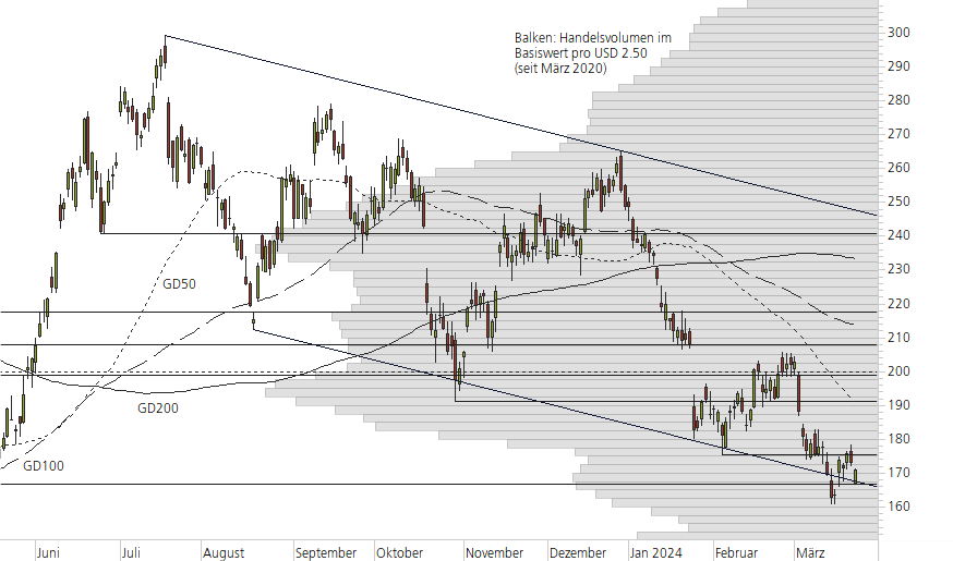 Tesla Inc-10-Monats-Chart