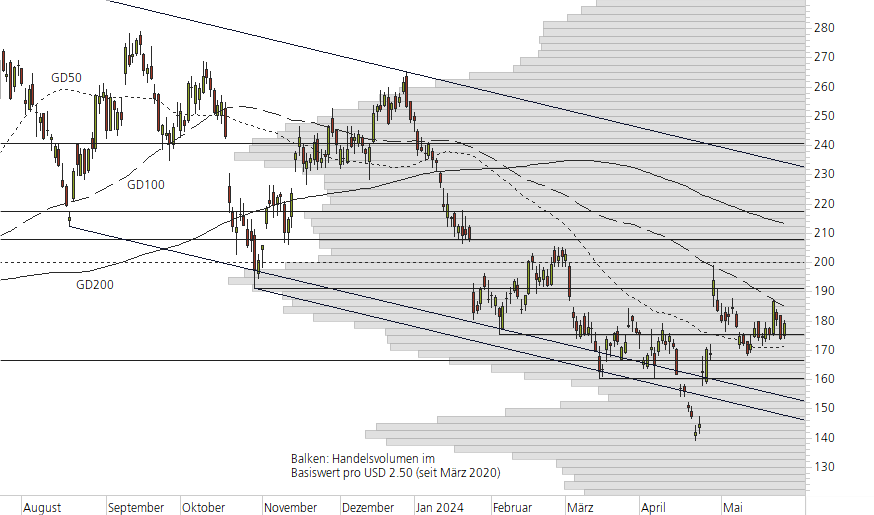 Tesla Inc-10-Monats-Chart