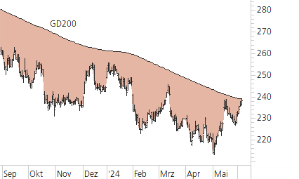 Roche-Trend-Chart