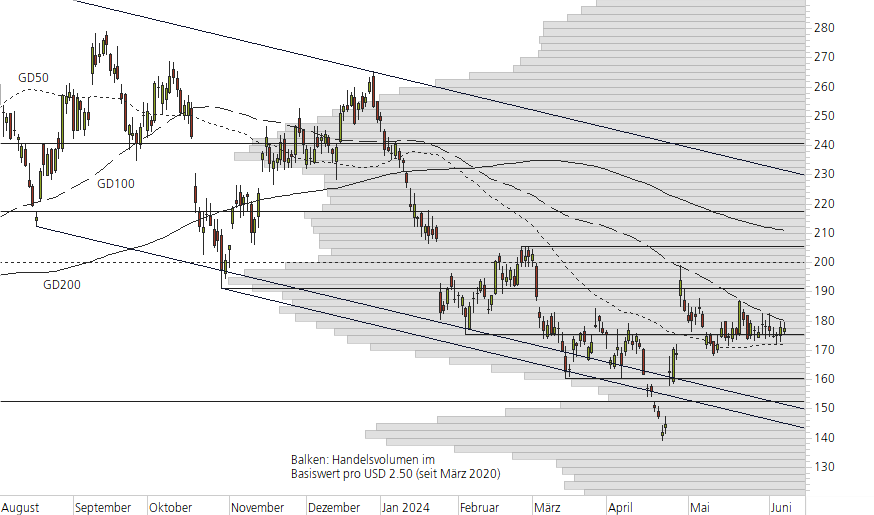 Tesla Inc-10-Monats-Chart