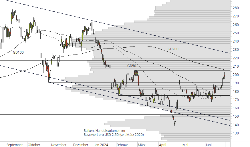 Tesla Inc-10-Monats-Chart