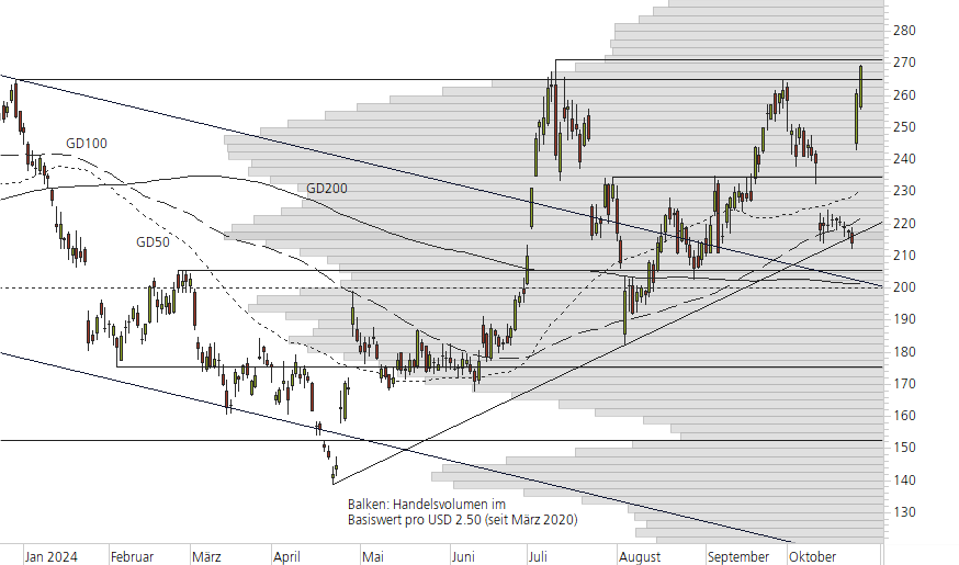 Tesla Inc-10-Monats-Chart